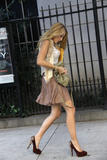 th_91439_celebrity_paradise.com_TheElder_BlakeLively126_122_361lo.jpg
